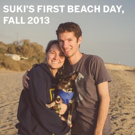 We adopted our darling dog Suki in 2013, and quickly realized that she made us a family.