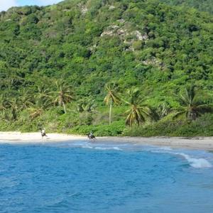 Antigua Equestrian Center - Horseback Riding