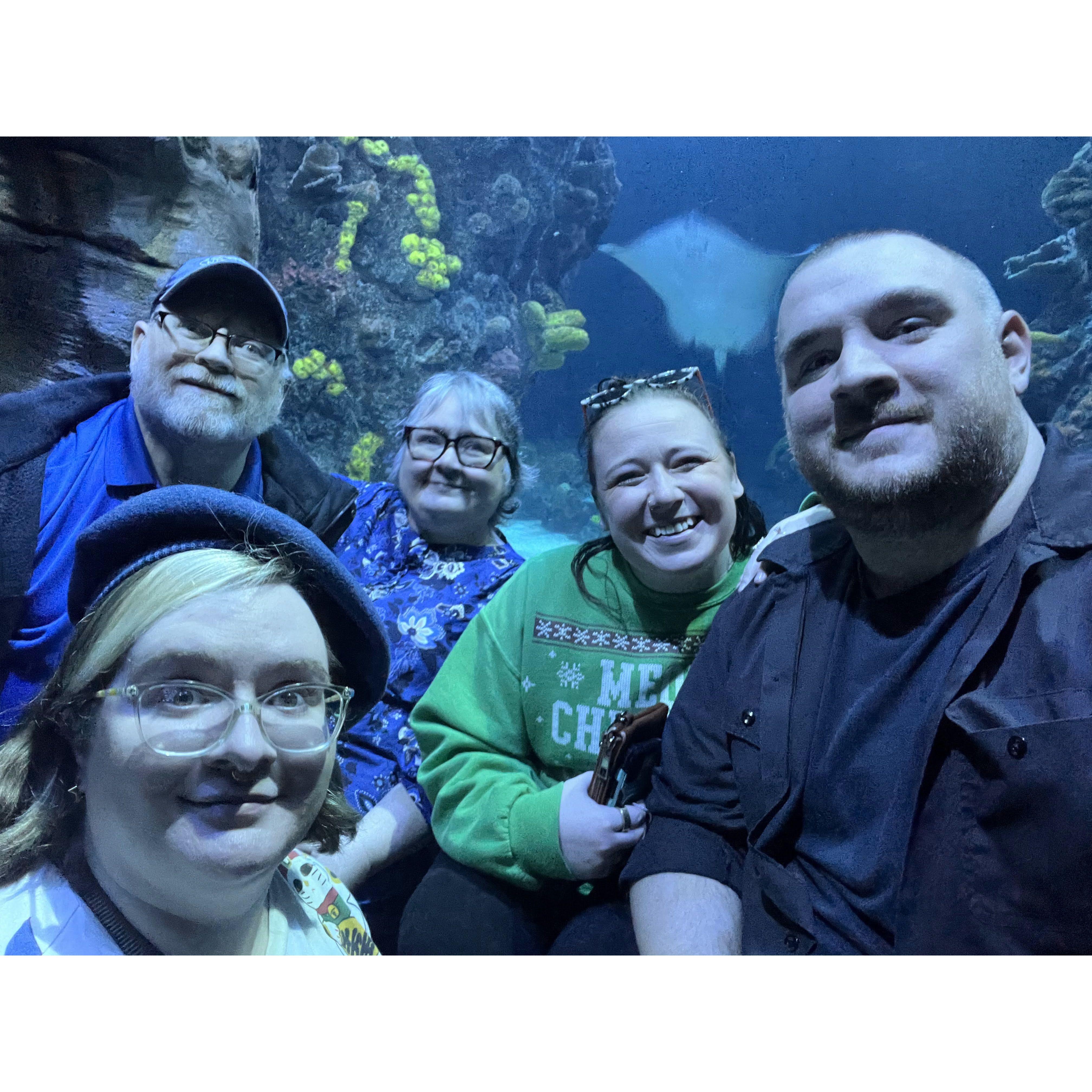 Goldsmith Family trip to the aquarium