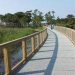 Cape Henlopen State Park
