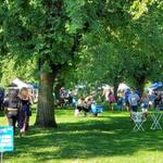 Elmwood Village