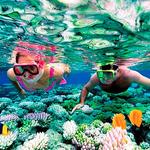 Snorkeling Cozumel