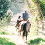 Garland View Stables
