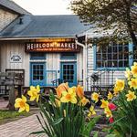 Heirloom Market at Comstock Ferre