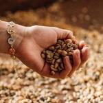 La Azotea