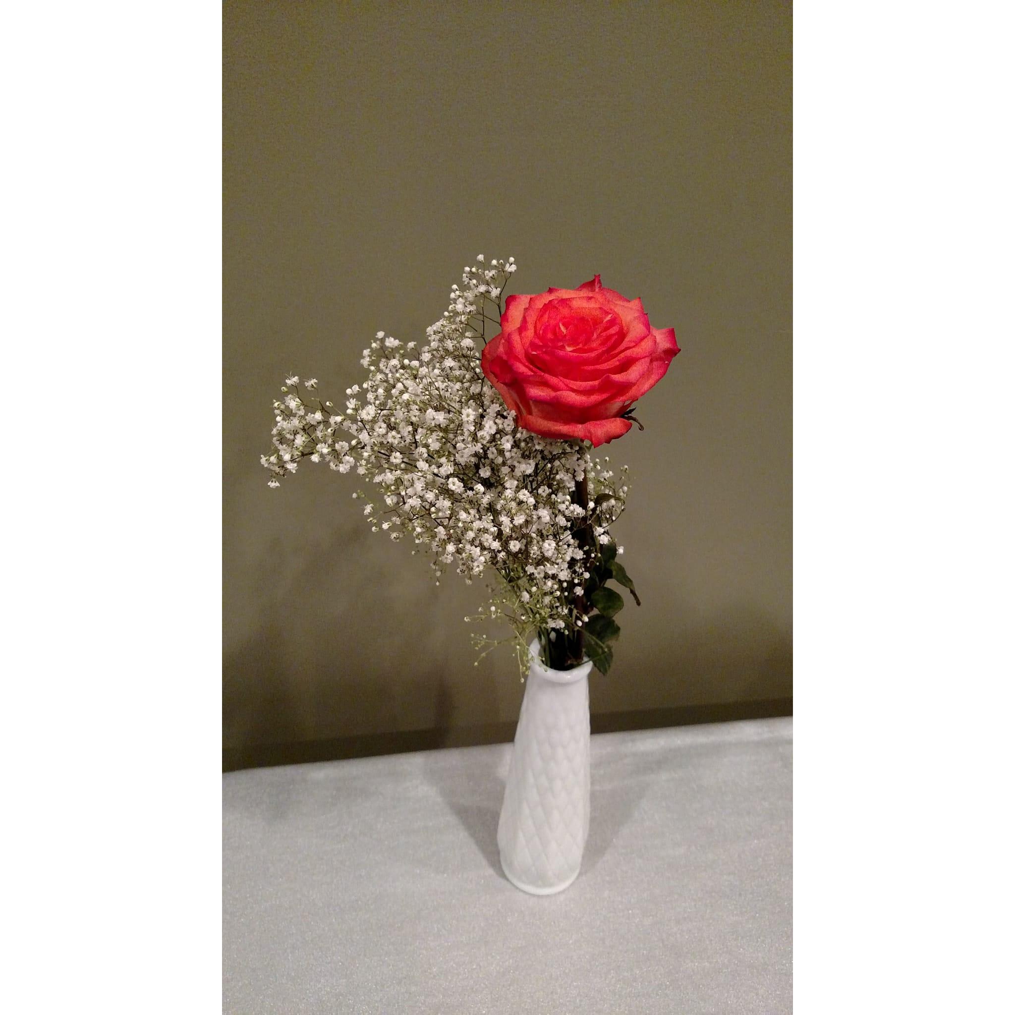 Our 2nd First Date!
When Carter picked me up on November 2, 2017 he gave me a single rose.