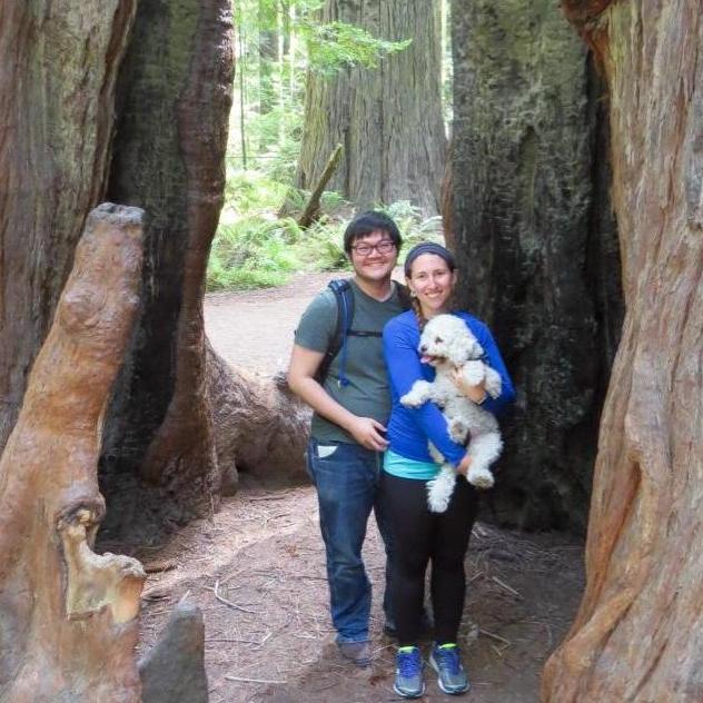 camping in Humboldt and exploring the Avenue of the Giants