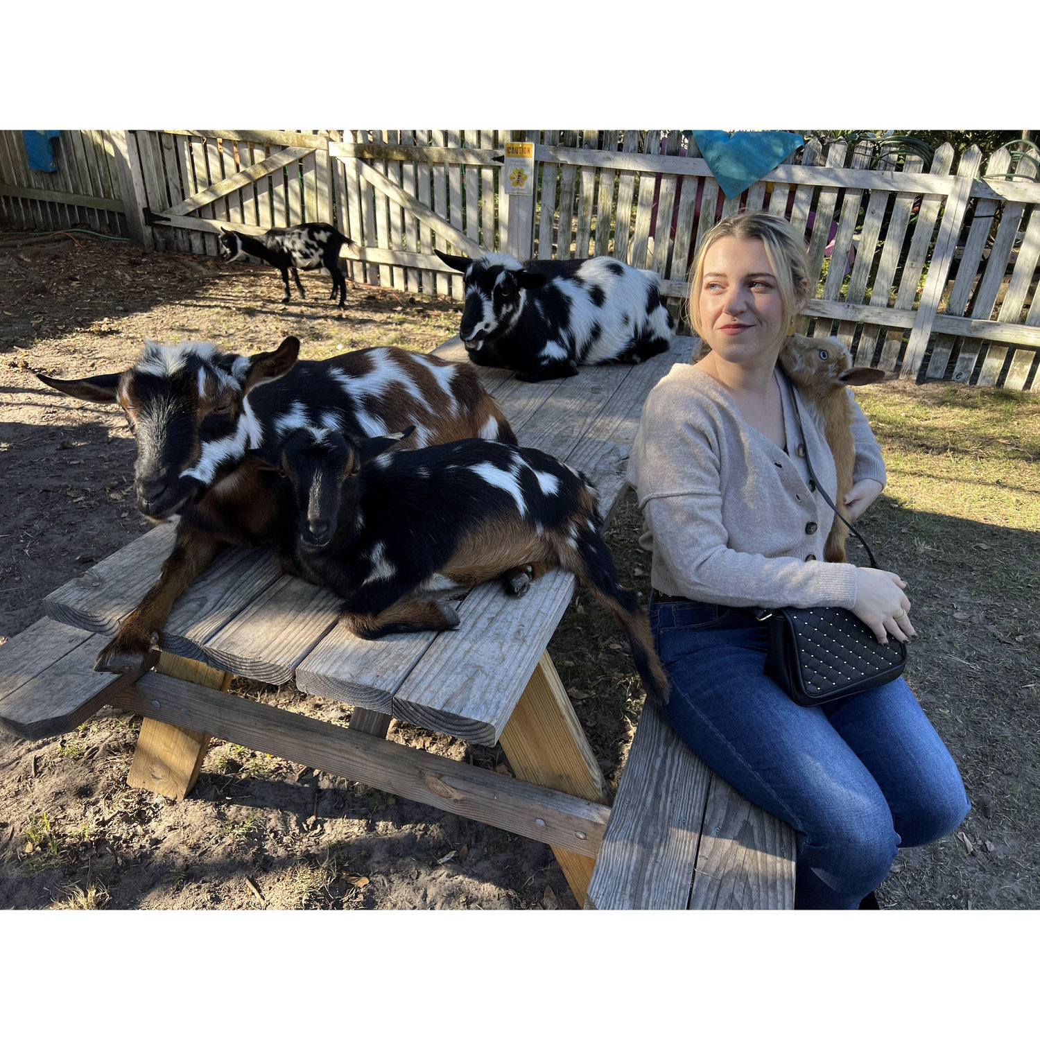 At an animal sanctuary in SC