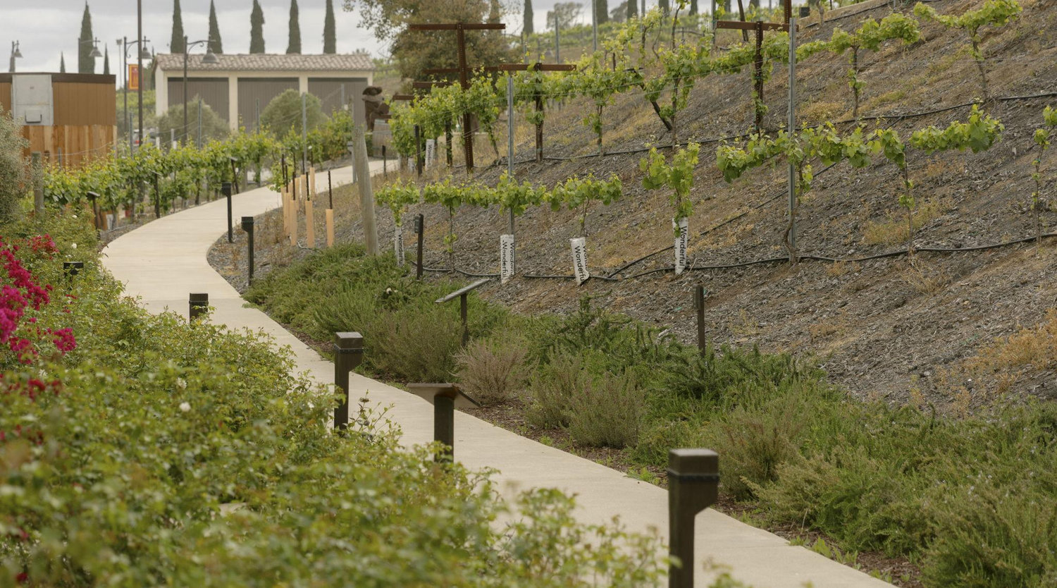 The Wedding Website of Michelle Guevara and Danny Langner