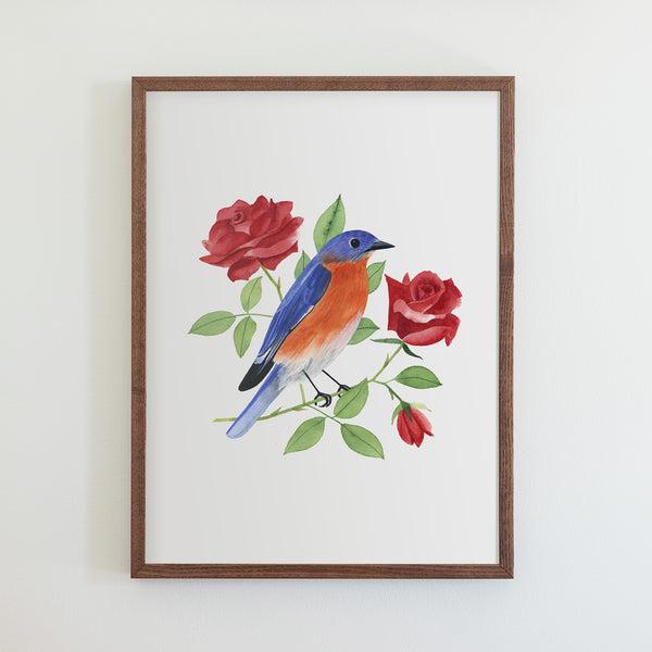 New York Eastern Bluebird Print (18x24)