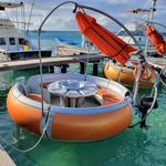 Octopus Aruba Sailing, Snorkeling, Sunset & Private Tours