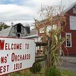 Soons Orchards