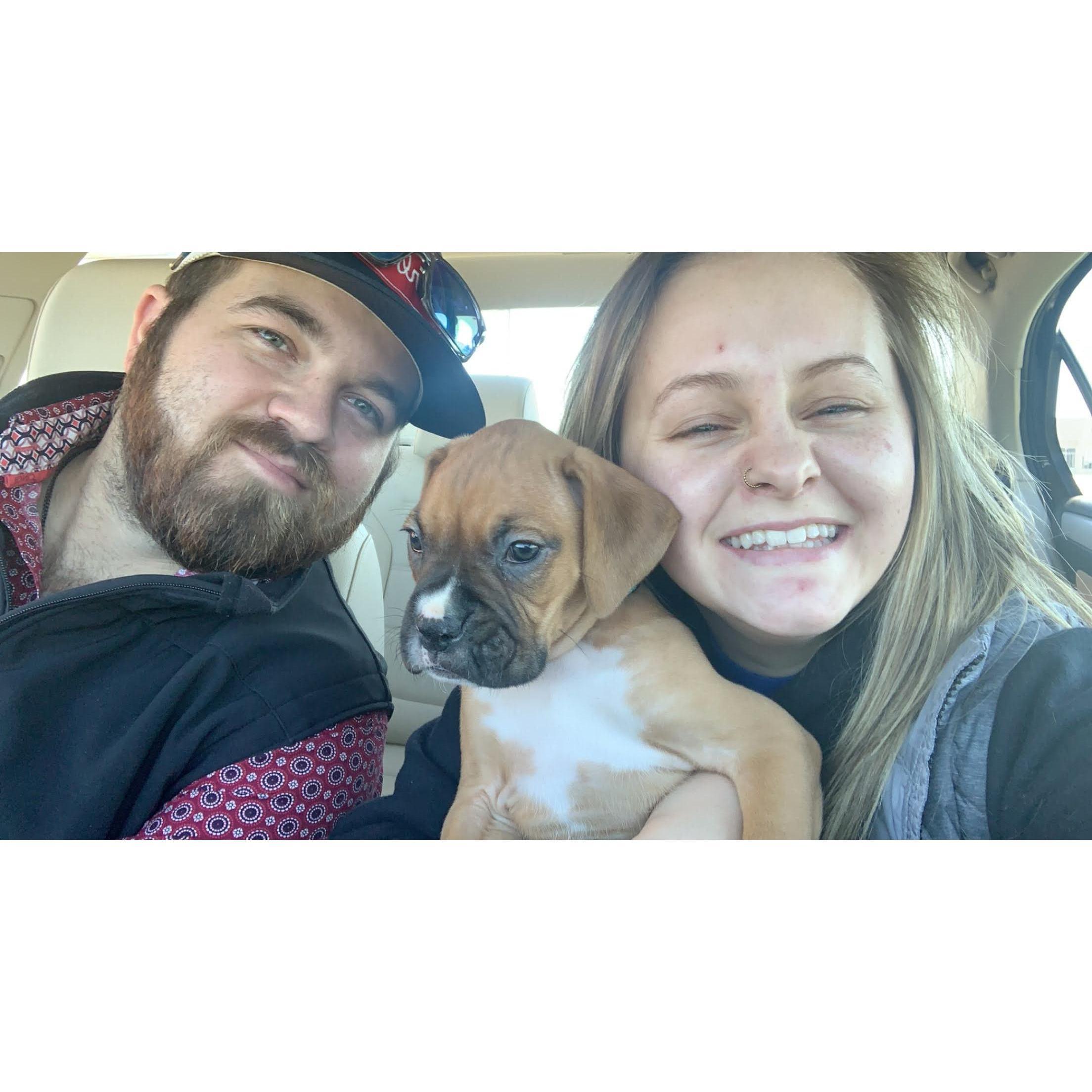 The day we brought Stella home 10.31.20
