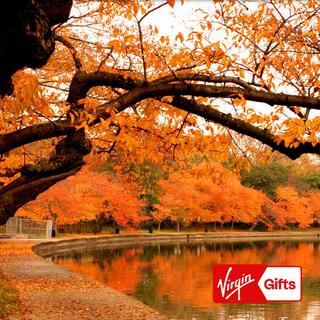 2 Tickets for Photo Tour of Washington DC - Washington, DC