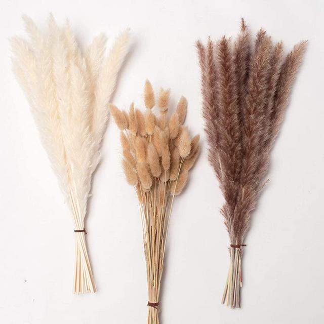 Total 80 Pcs, 17" Set | 30 Pcs White Pampas and Natural Dried Pampas Grass,50 Pcs Natural Rabbit Tail Grass, Lagurus Ovatus Perfect for Home Decor, Boho Decor and Wedding Flower Arrangements