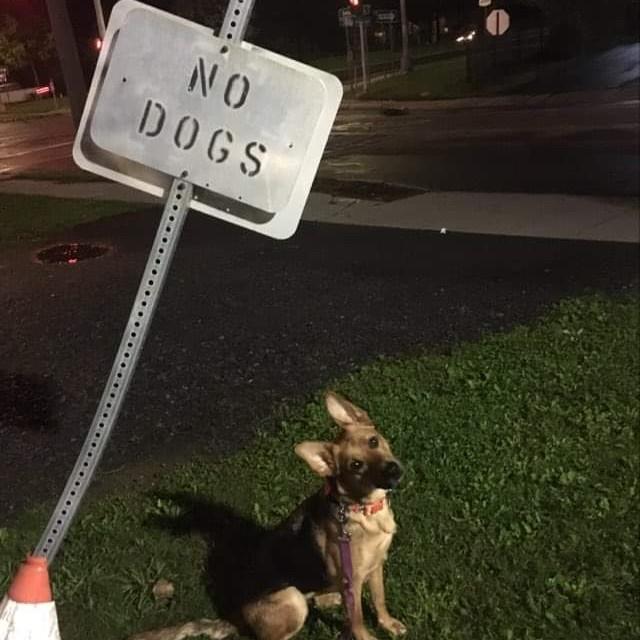 What a rebel!