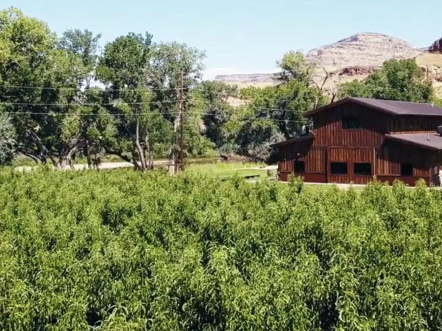 The Wedding Website of Haley Zanski and Tyler Erzen