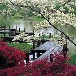 Missouri Botanical Garden