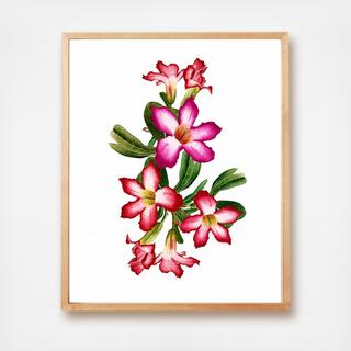 Flor Wall Art