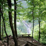 Bottom Creek Gorge Preserve