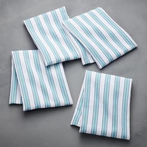 Aster Stripe Aqua Dish Towel Set of 4