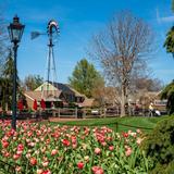 Quakertown offers shopping