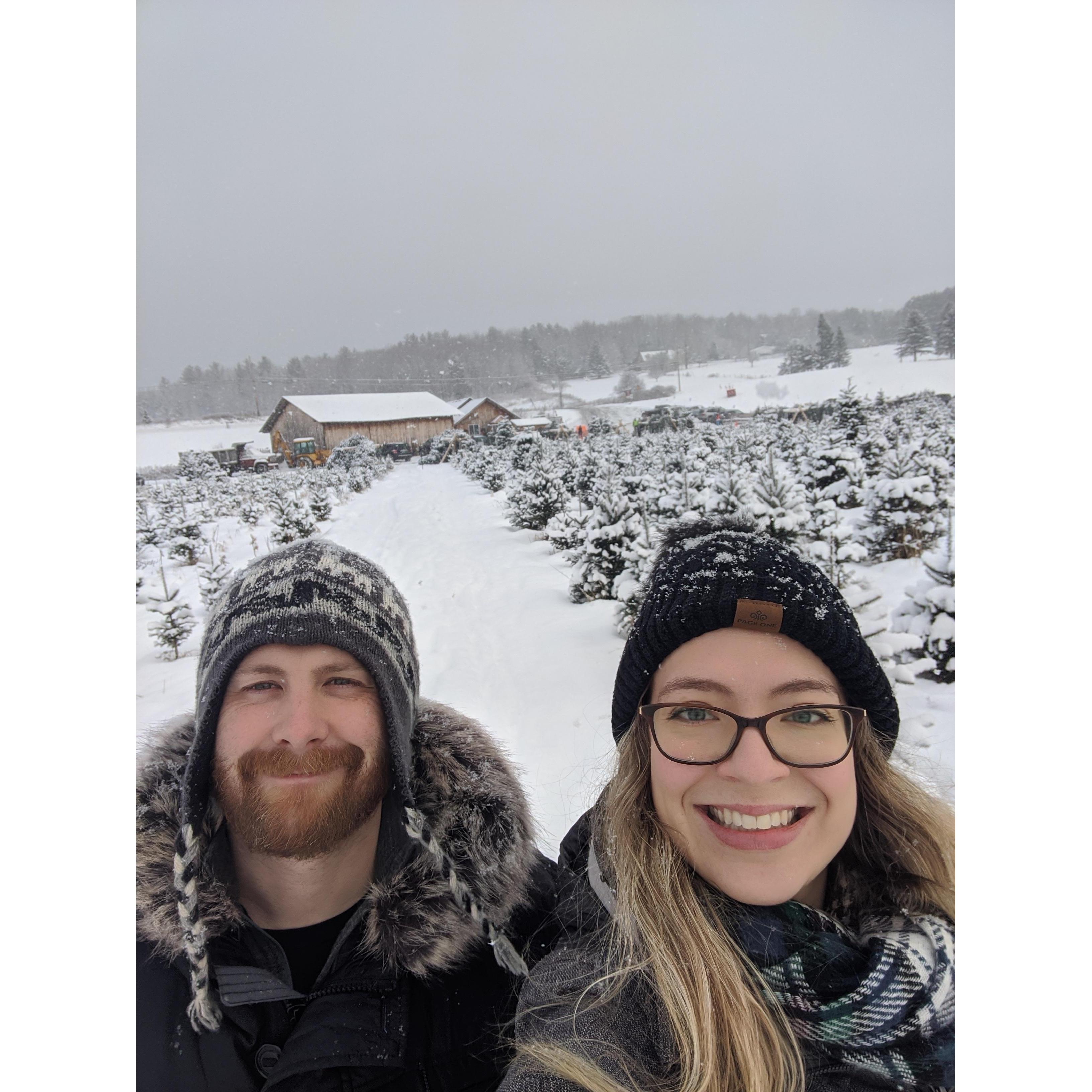 Christmas Tree shopping in Vermont!