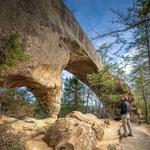 Sky Bridge Trail