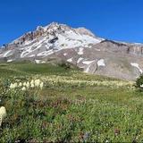 Timberline Lodge