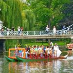 Swan Boats