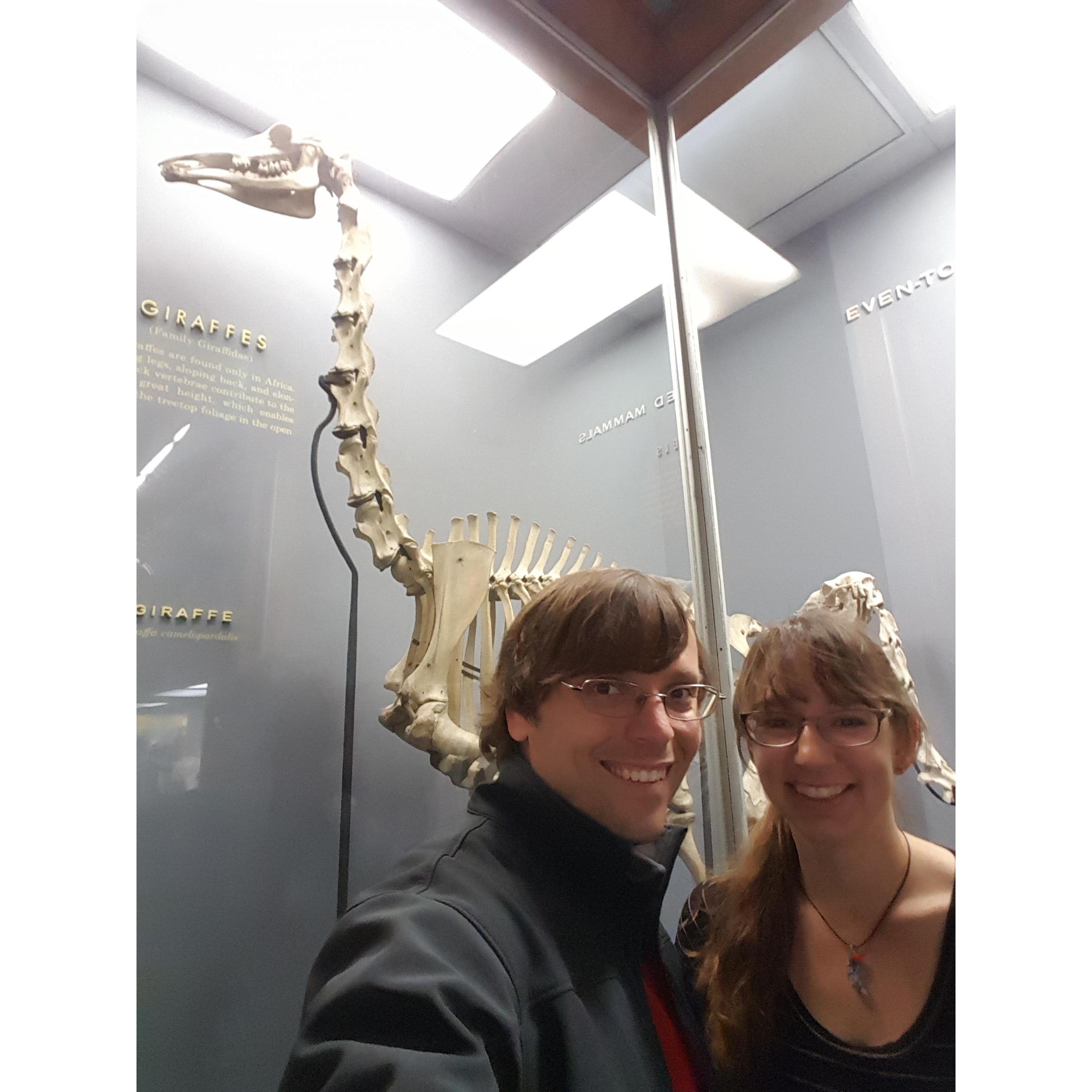 Katelyn loves a good spine. Check out those vertebrae.