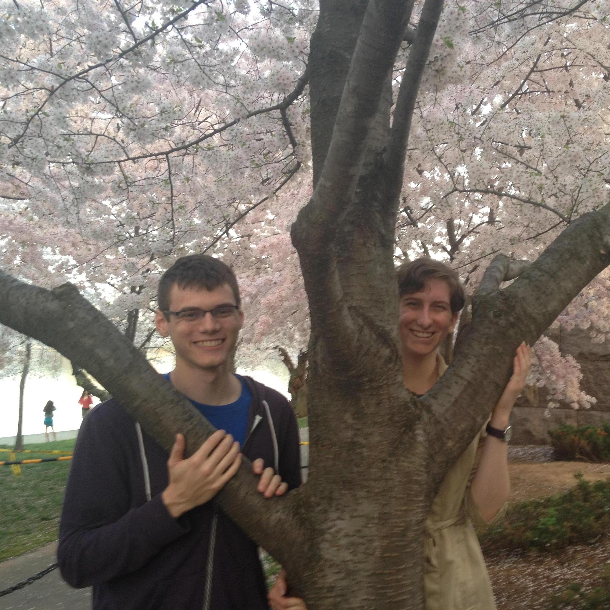 Washington D.C. in spring (2011)