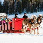 Scenic Sleigh Ride