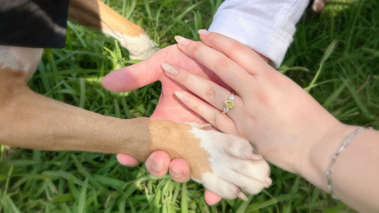 The Wedding Website of Crystal Lai and Peter Pinrode
