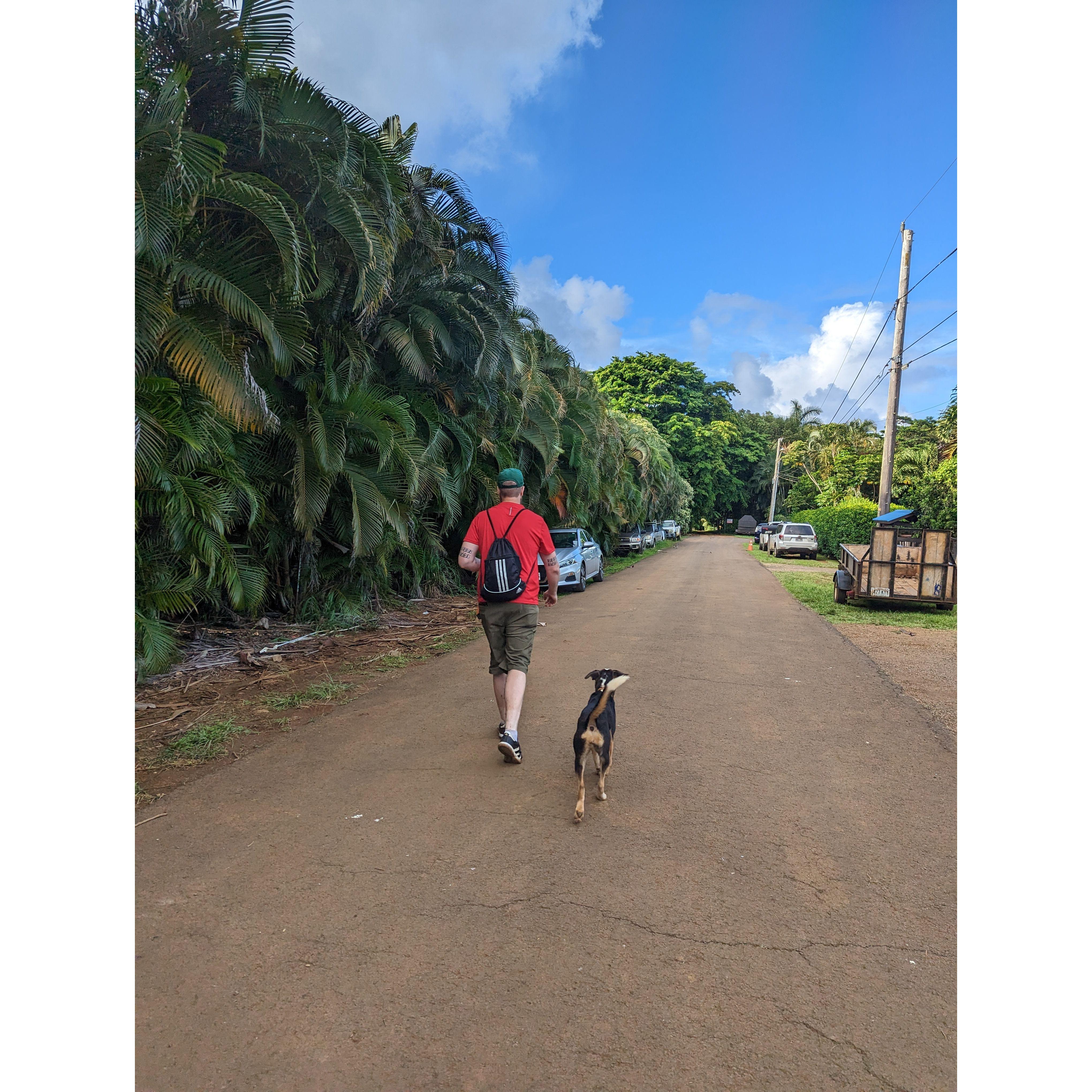 A dog following Francis on our hike in Kauai.