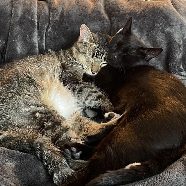 Casper & Salem Fund