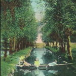 Stocks Park