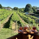 Twisted Vine Winery