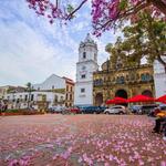 CASCO VIEJO