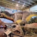 Saint Louis Science Center