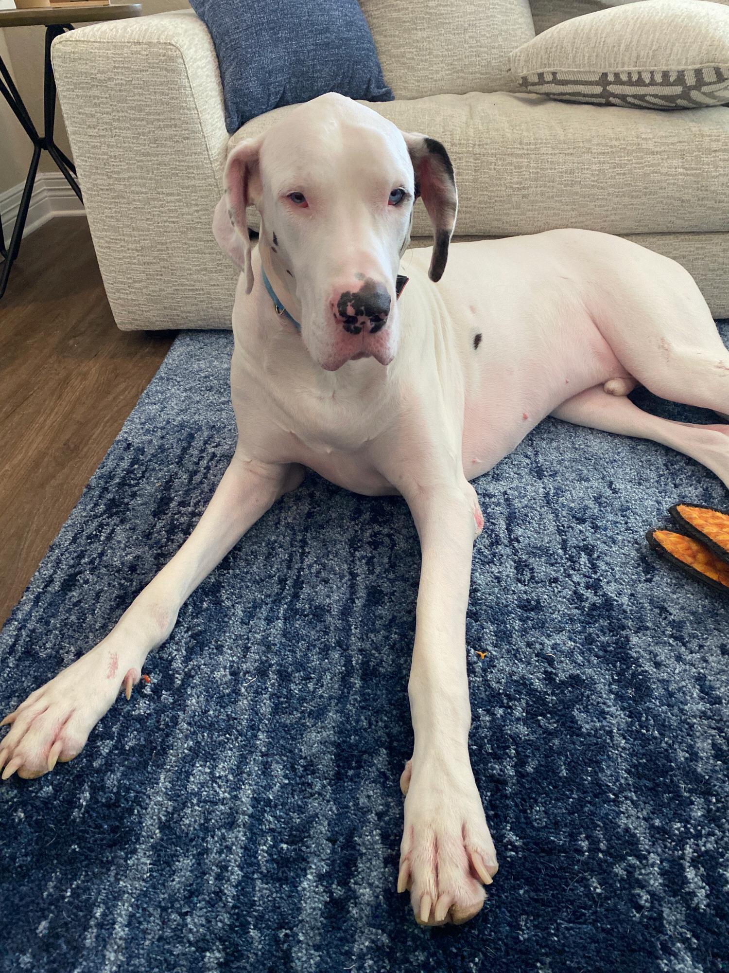 He's handsome, and he's smart, and he's got a good personality.