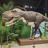 Indiana Dinosaur Museum
