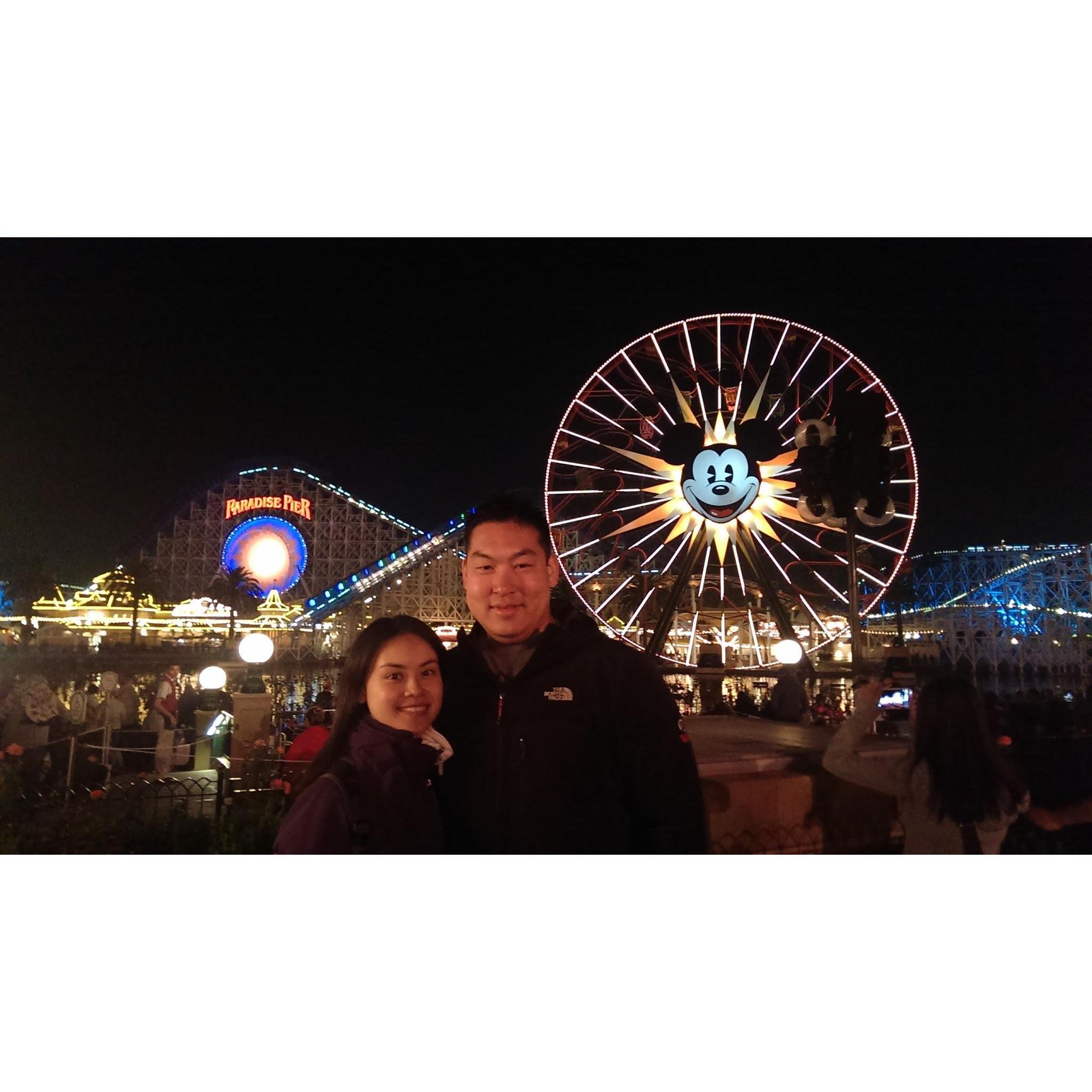 2013 Disneyland