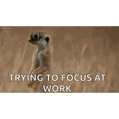 First gif Daniel ever sent to Amber