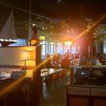 Koko Sushi Bar & Lounge