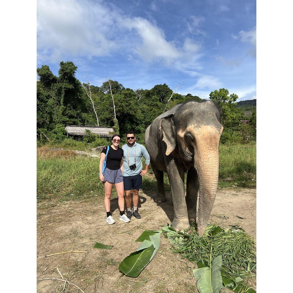 Giving an elephant respectful boundaries