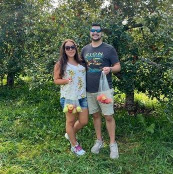 This is actually a photoshoot with a fake background; the apples are plastic