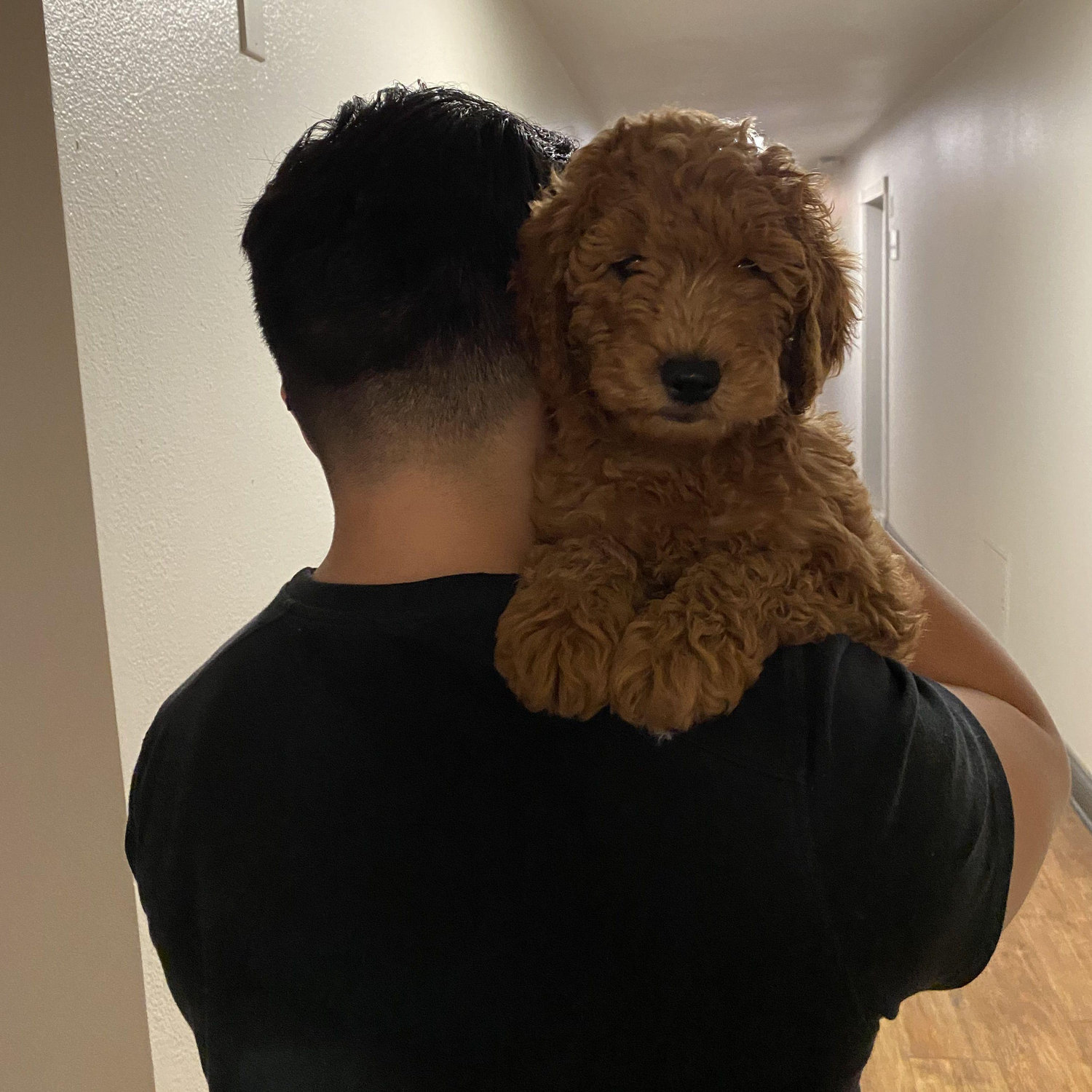Harley arrived and changed our lives forever!