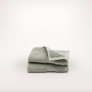 Plush Washcloths (Pair) - Sageleaf