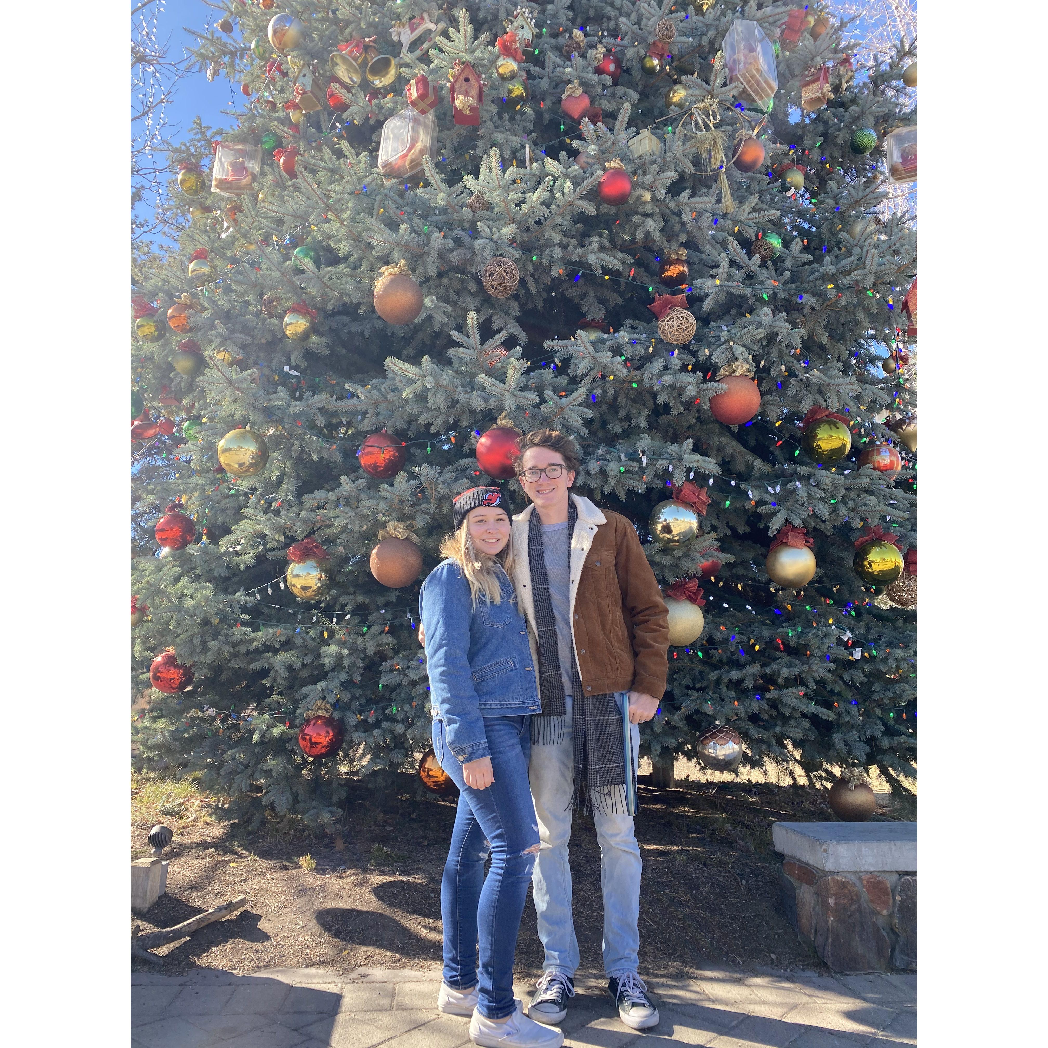 Thanksgiving 2021: Big Bear